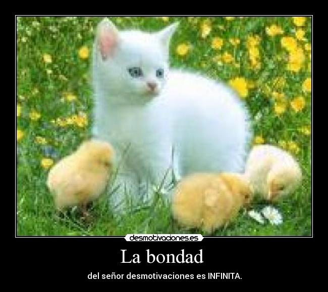 La bondad  - 