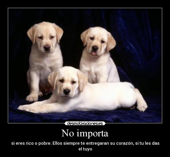 No importa - 