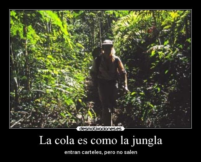 carteles cola jungla desmotivaciones