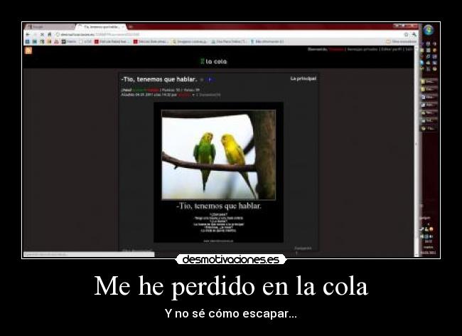 Me he perdido en la cola - 