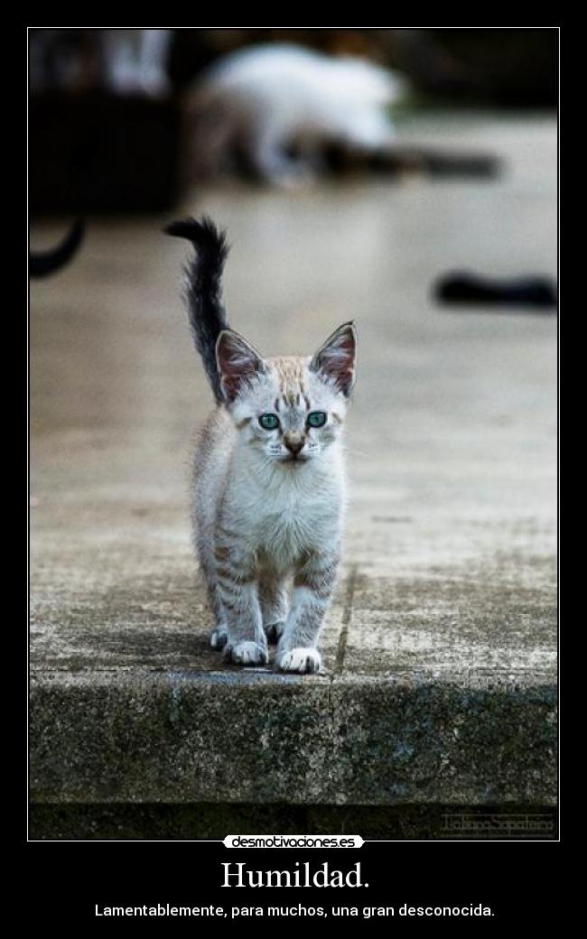 Humildad. -