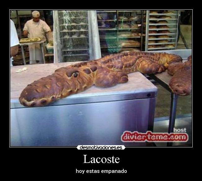 Lacoste - hoy estas empanado