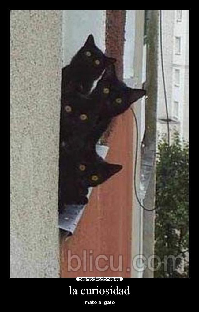 la curiosidad -