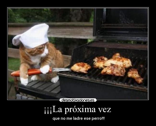 ¡¡¡La próxima vez -