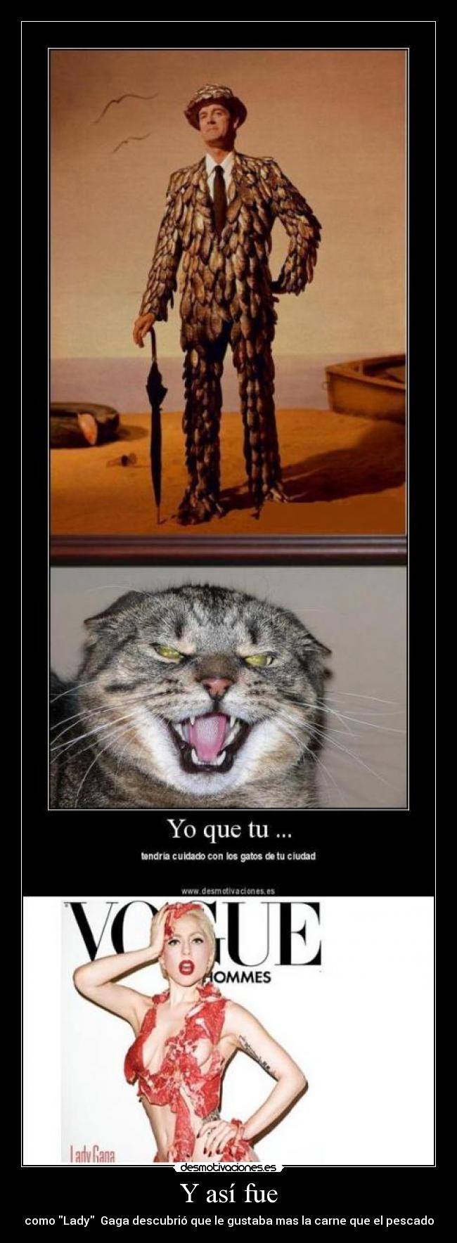 carteles lady gaga sexo carne pescado desmotivaciones