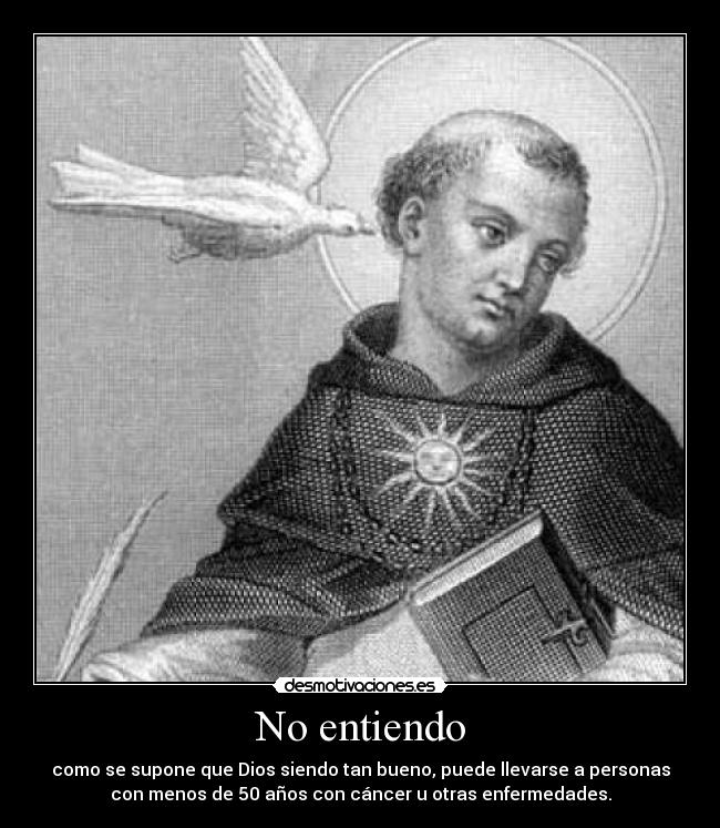 No entiendo -