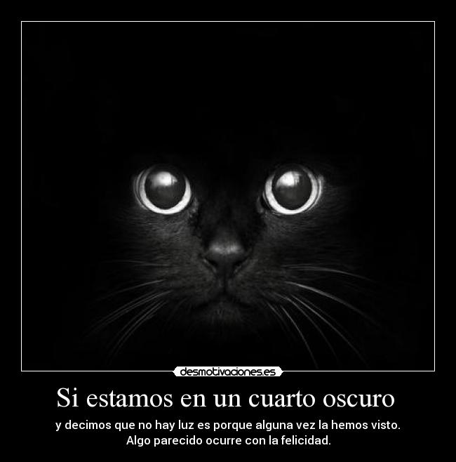 Si estamos en un cuarto oscuro  -  y decimos que no hay luz es porque alguna vez la hemos visto. 
Algo parecido ocurre con la felicidad.