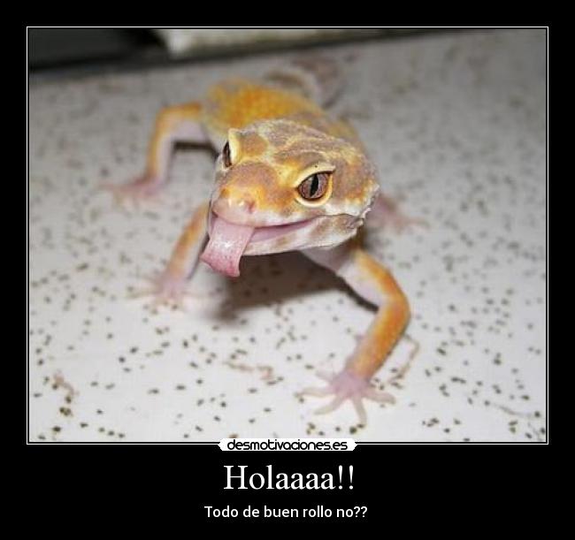 Holaaaa!! - 