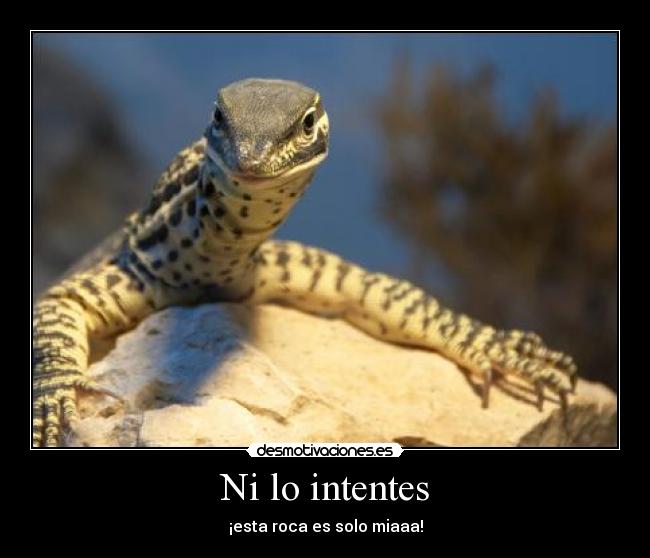 Ni lo intentes - 