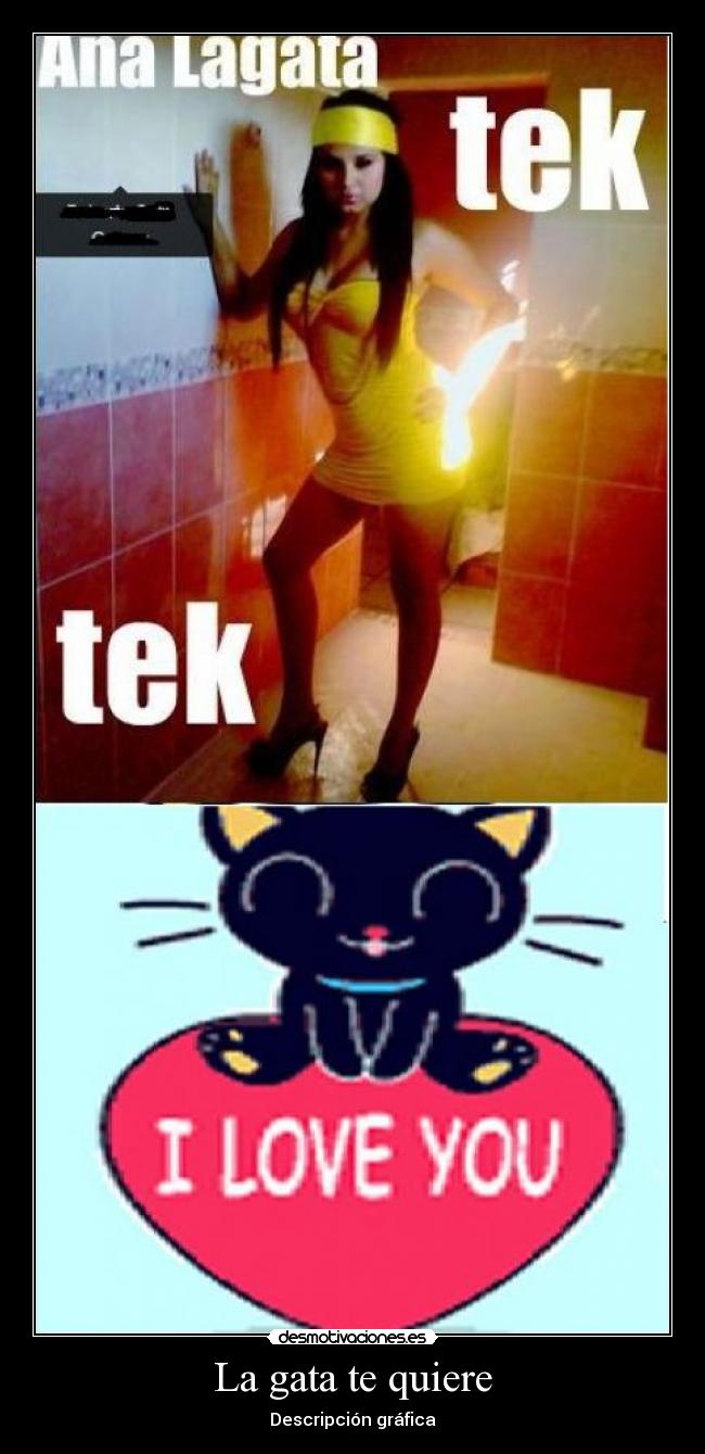 La gata te quiere -