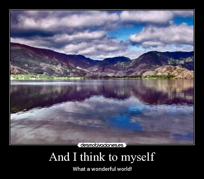 And I think to myself - 