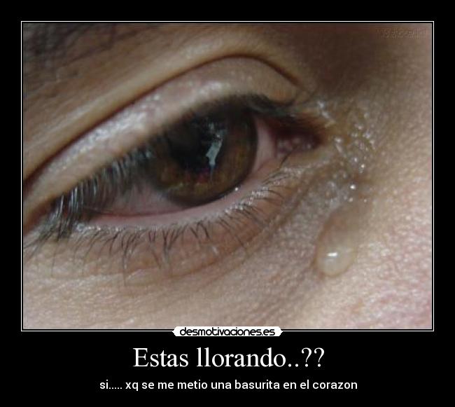 carteles tamjazz desmotivaciones