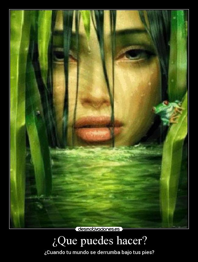 ¿Que puedes hacer? -