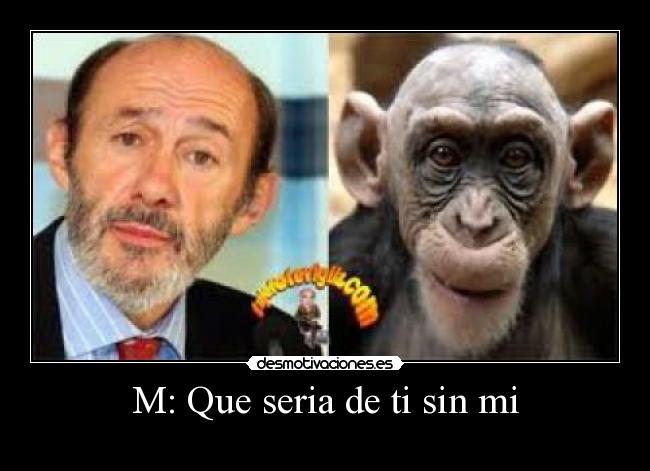 M: Que seria de ti sin mi - 