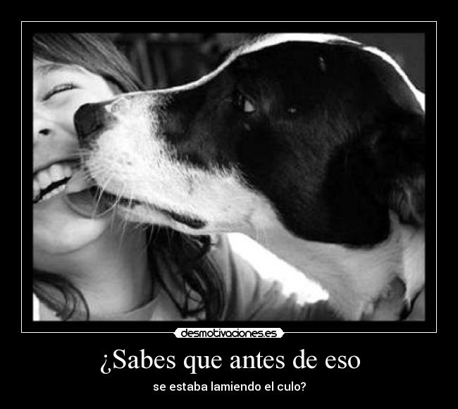 ¿Sabes que antes de eso - se estaba lamiendo el culo?