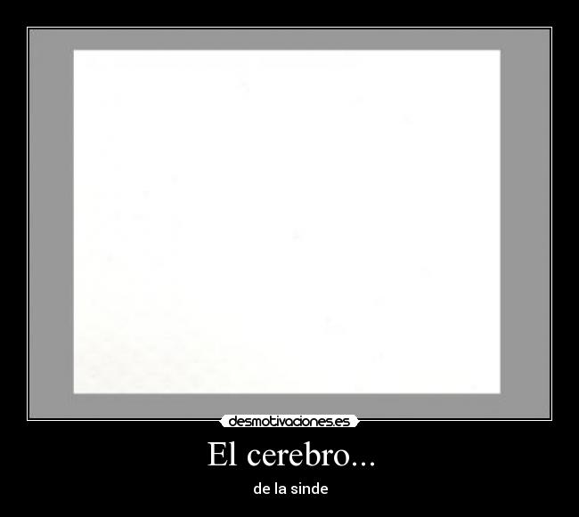El cerebro... - 