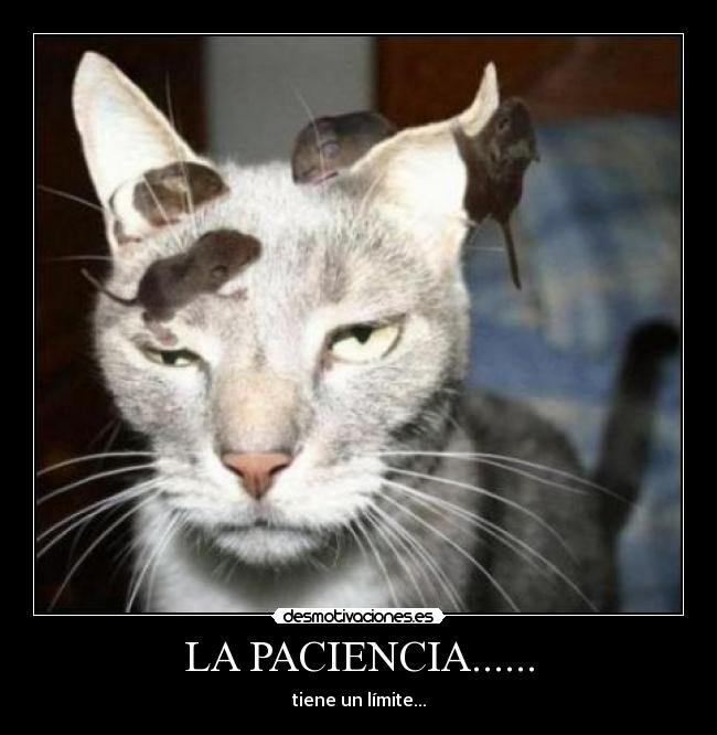 LA PACIENCIA...... - 