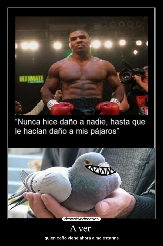 A ver - quien coño viene ahora a molestarme