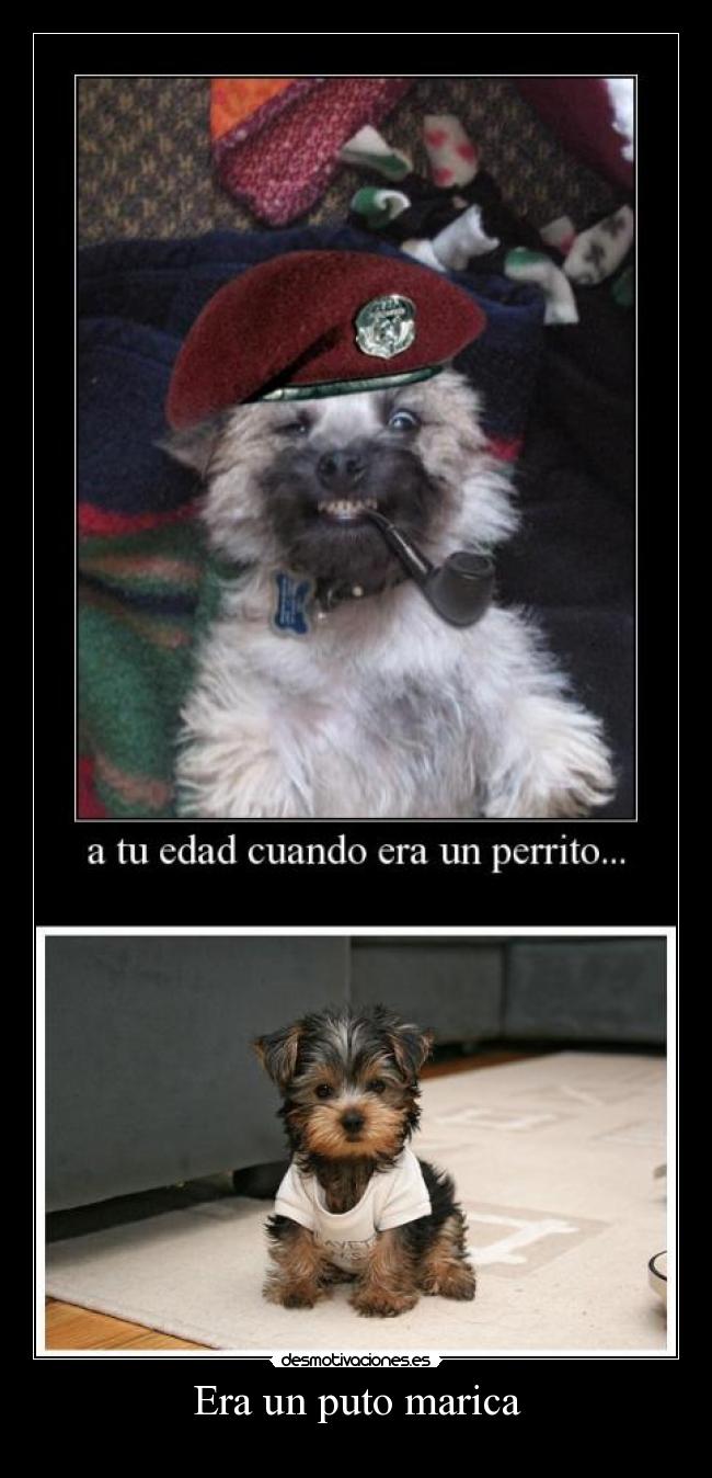 Era un puto marica -