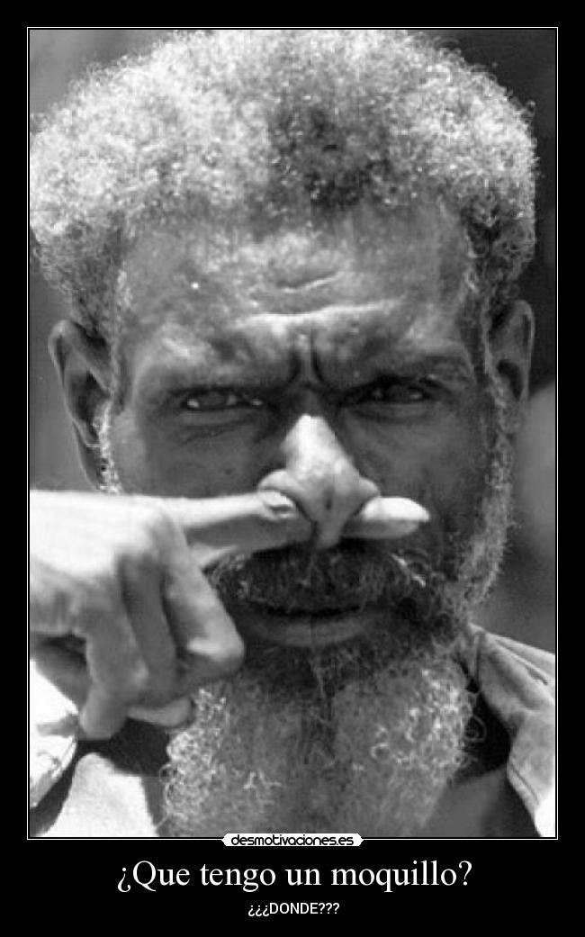 ¿Que tengo un moquillo? -