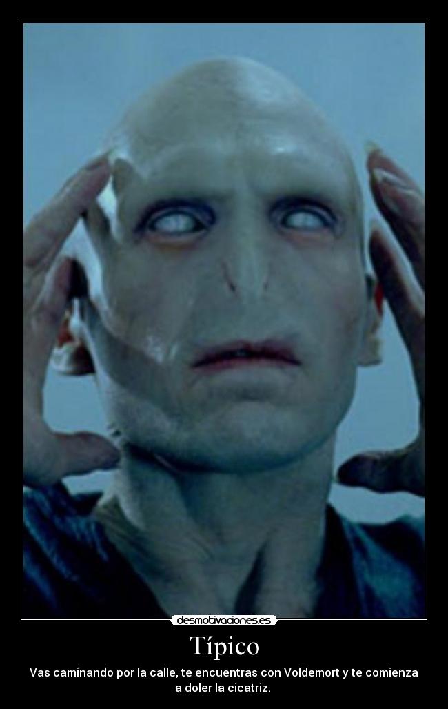 carteles voldemort harryy potter cicatriz desmotivaciones