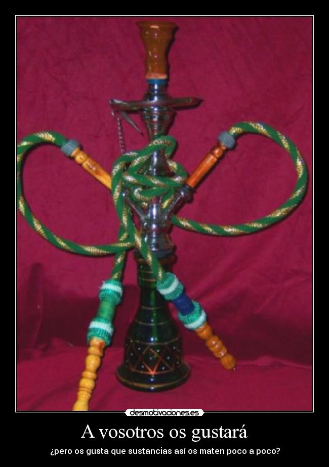 A vosotros os gustará -