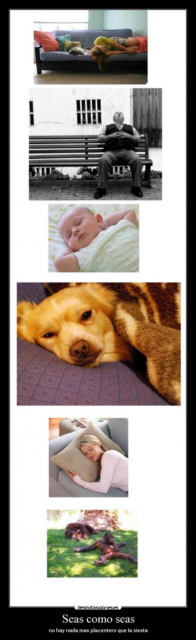 Seas como seas - no hay nada mas placentero que la siesta