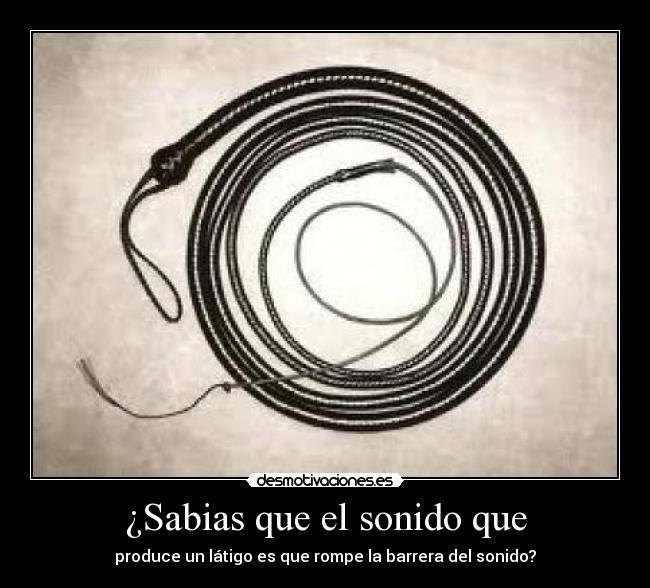 ¿Sabias que el sonido que - produce un látigo es que rompe la barrera del sonido?