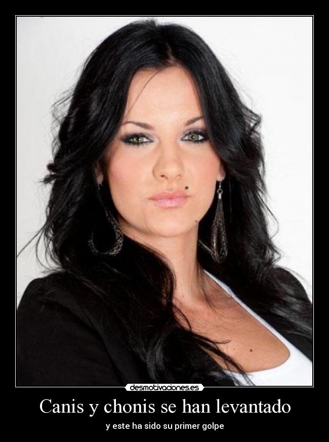 Canis y chonis se han levantado - 