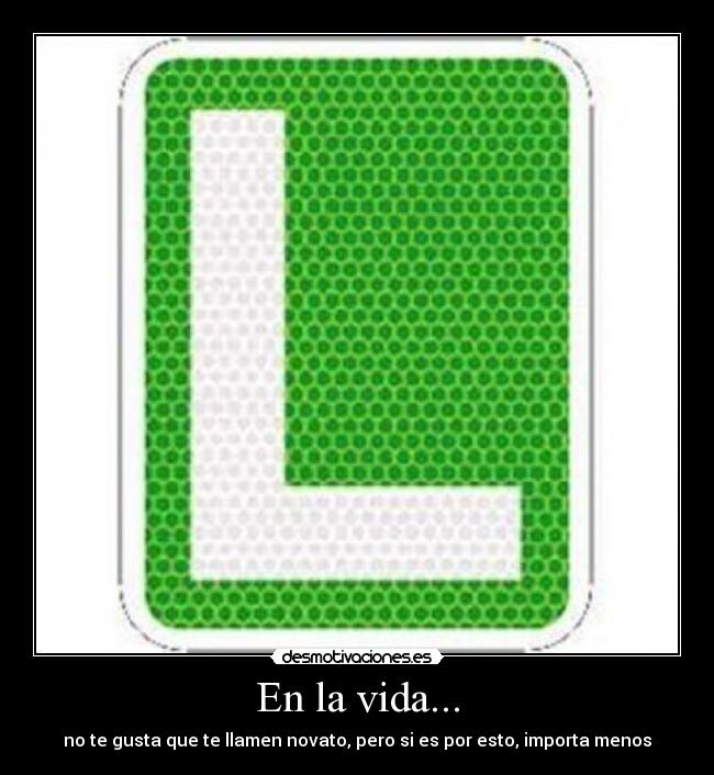 En la vida... - no te gusta que te llamen novato, pero si es por esto, importa menos