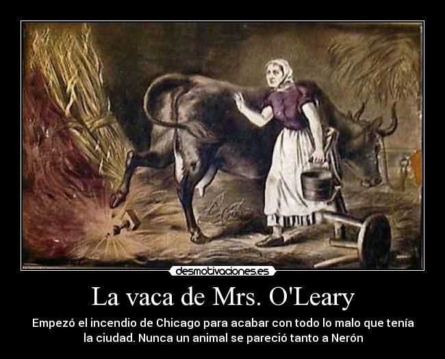 carteles vaca chicago desmotivaciones