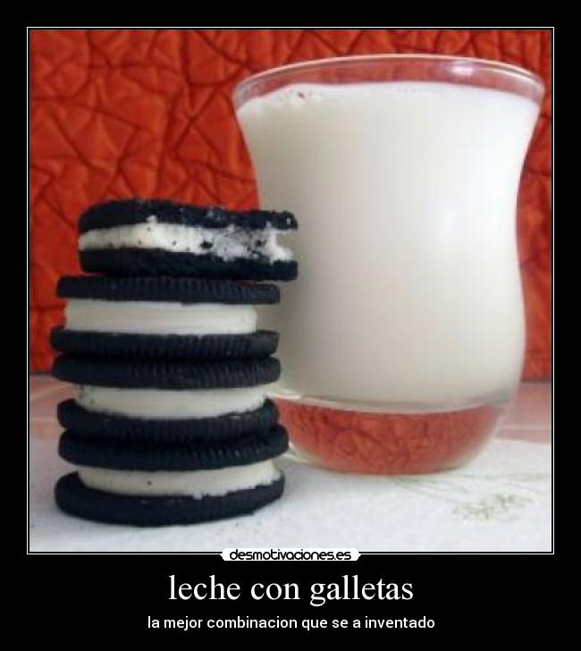 leche con galletas - la mejor combinacion que se a inventado