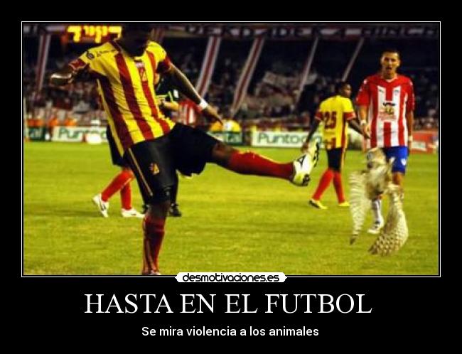 HASTA EN EL FUTBOL -