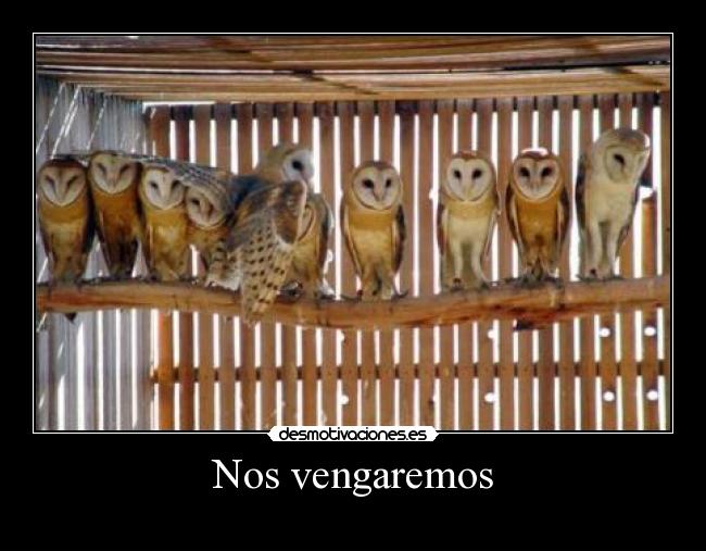 Nos vengaremos -