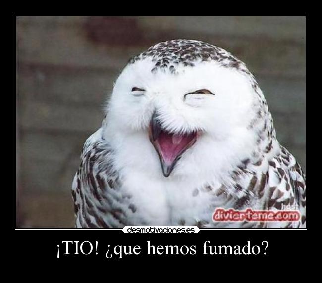 ¡TIO! ¿que hemos fumado? - 