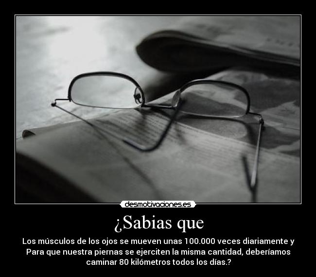 ¿Sabias que - Los músculos de los ojos se mueven unas 100.000 veces diariamente y
Para que nuestra piernas se ejerciten la misma cantidad, deberíamos
caminar 80 kilómetros todos los días.?