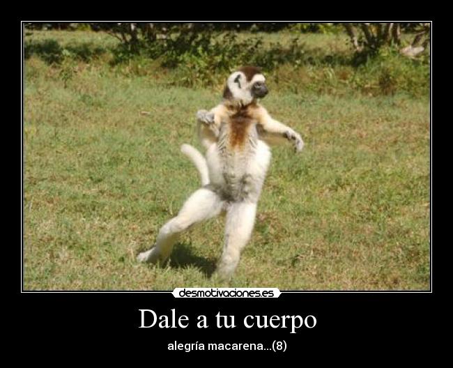 Dale a tu cuerpo -