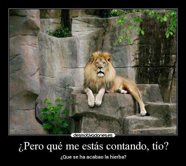 ¿Pero qué me estás contando, tío? -