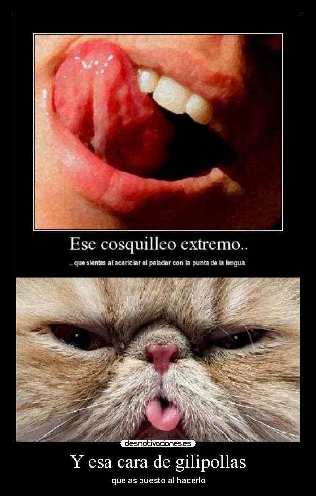 Y esa cara de gilipollas -