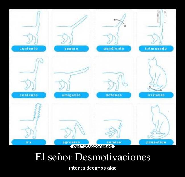 El señor Desmotivaciones -