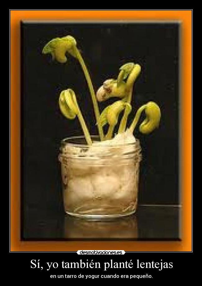 carteles plantar lentejas yogur desmotivaciones
