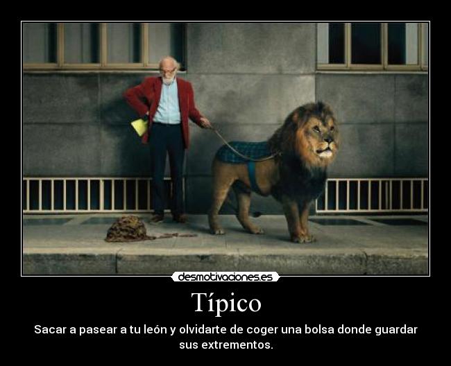 Típico - Sacar a pasear a tu león y olvidarte de coger una bolsa donde guardar
sus extrementos.