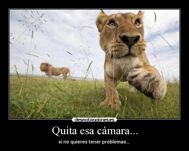 carteles gilitolay desmotivaciones