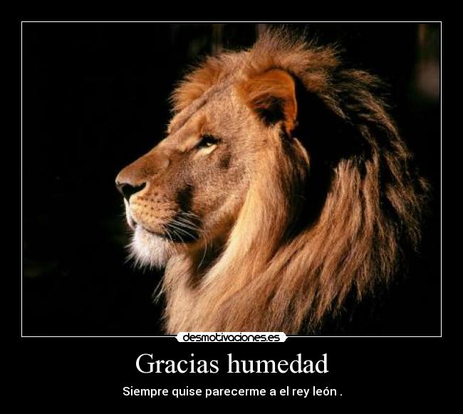 Gracias humedad -