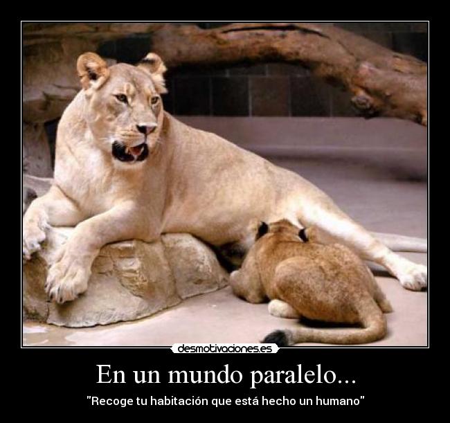 carteles mundo leon mundo paralelo desmotivaciones