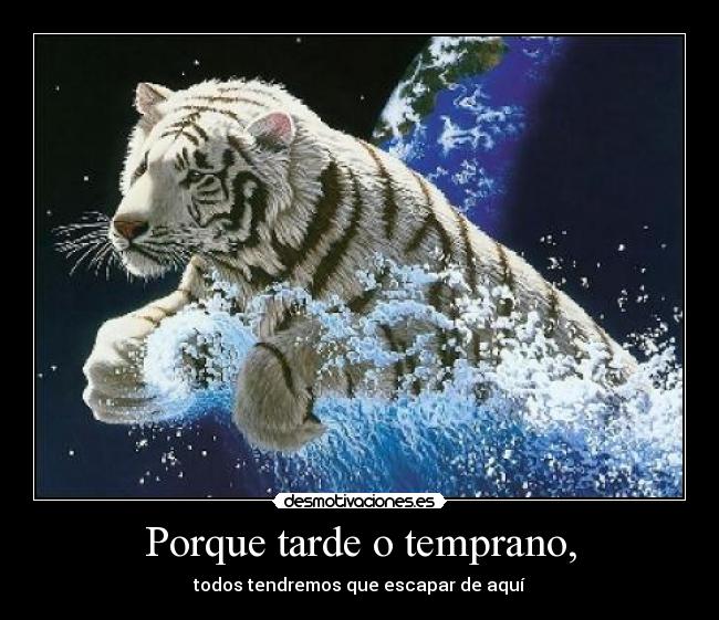 Porque tarde o temprano, - 