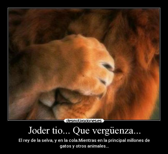 Joder tio... Que vergüenza... -