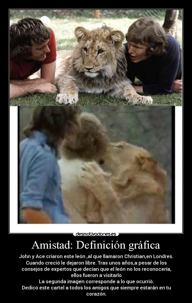 Amistad: Definición gráfica -
