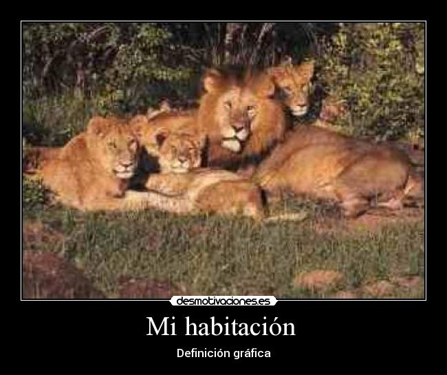 Mi habitación - Definición gráfica