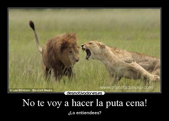 No te voy a hacer la puta cena! -